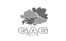 GAG Logo freigestellt grau